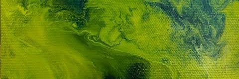 Bartolomeo Kuma banner