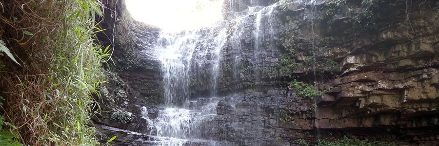 Michael Marinier banner