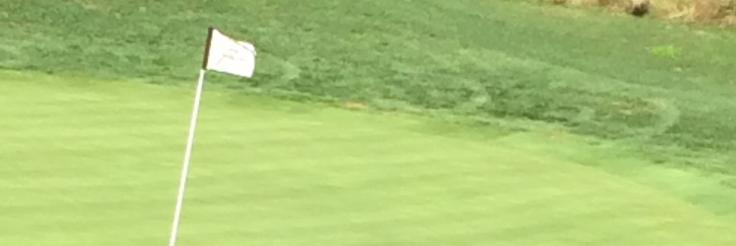 DalePlumer's profile banner image