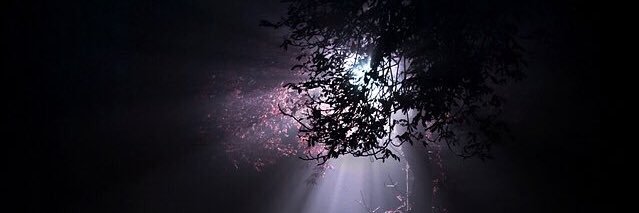 MrMeshref's profile banner image