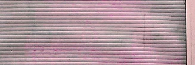 Catarina Ribeiro banner