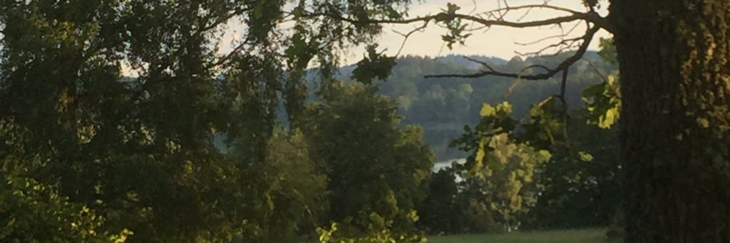 Robert Bildsten banner