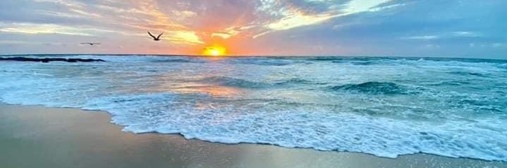 Matt Haviland 🇺🇸 banner