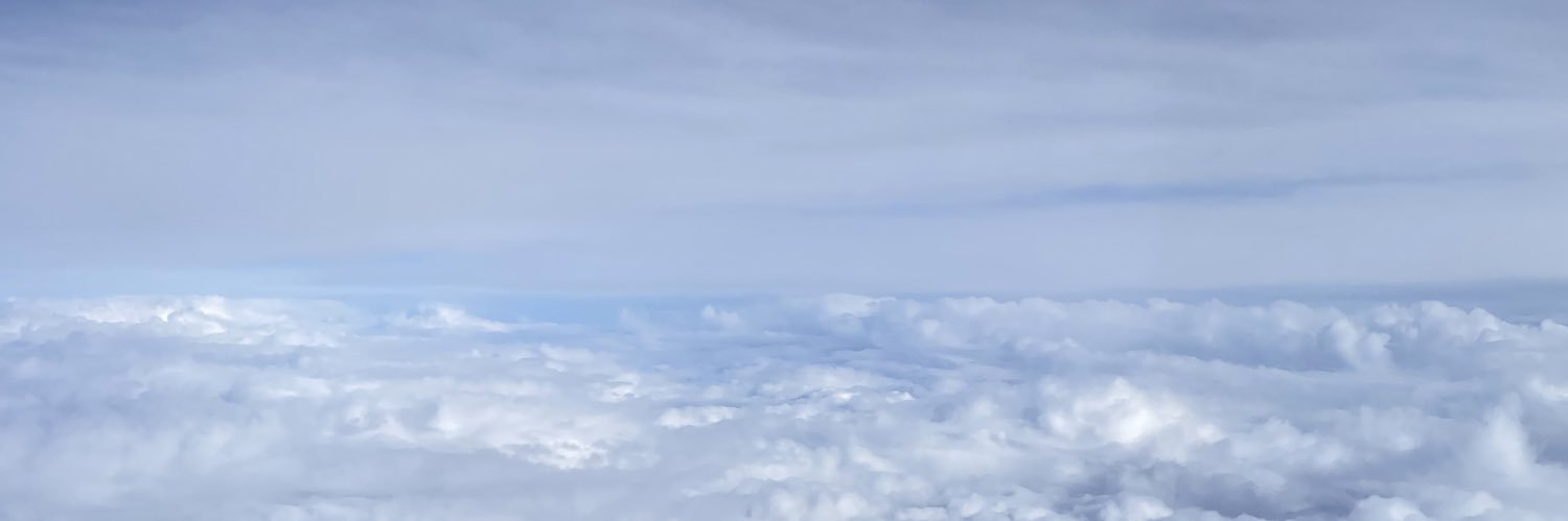Ronaldo Dalca banner