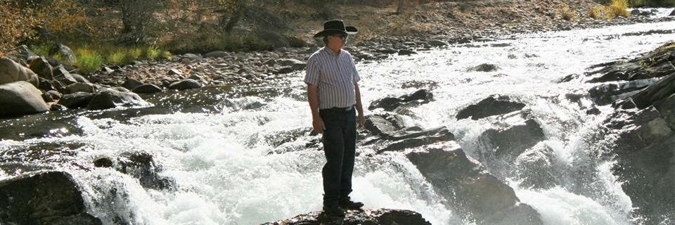 williehoevers's profile banner image