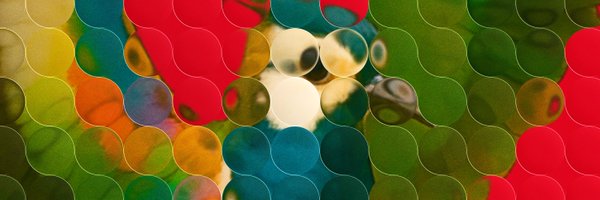 StripeYSTE Profile Banner