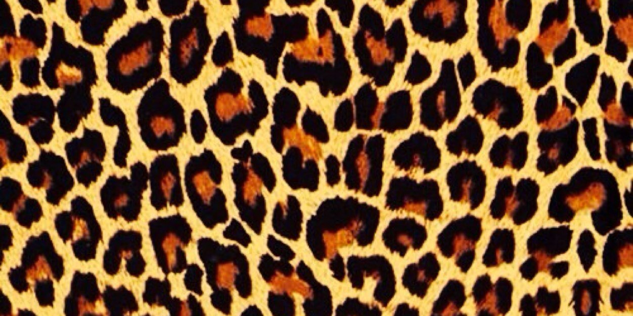 bea_moratalla's profile banner image