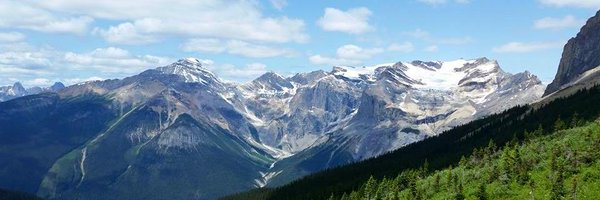 AllisonForese Profile Banner