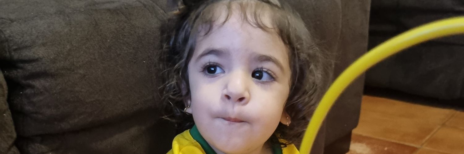 Paulo josé Rosa 🇧🇷 🇺🇲 🇨🇦 banner