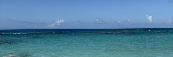 rachelwimer Profile Banner