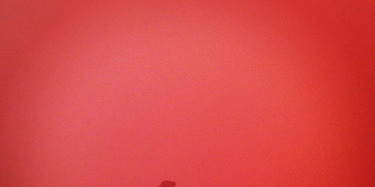 garnero10's profile banner image