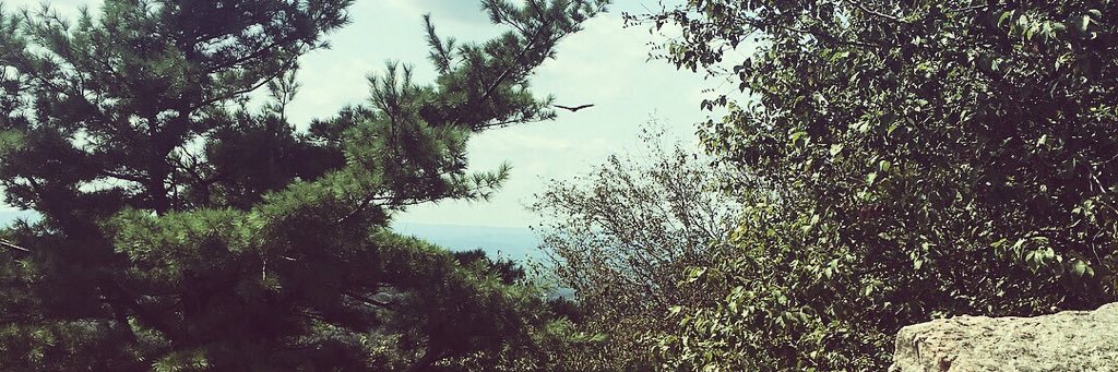 CassieRaczynski's profile banner image