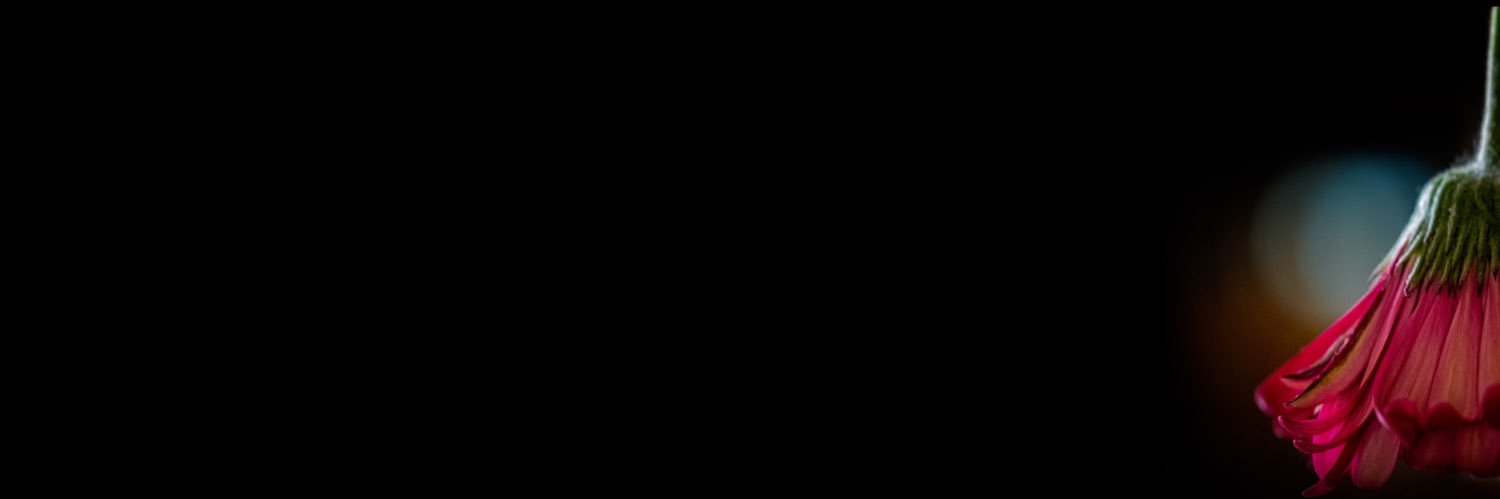 AnneVelosa's profile banner image