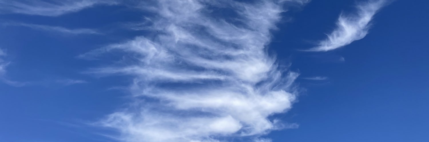 lvicentem's profile banner image