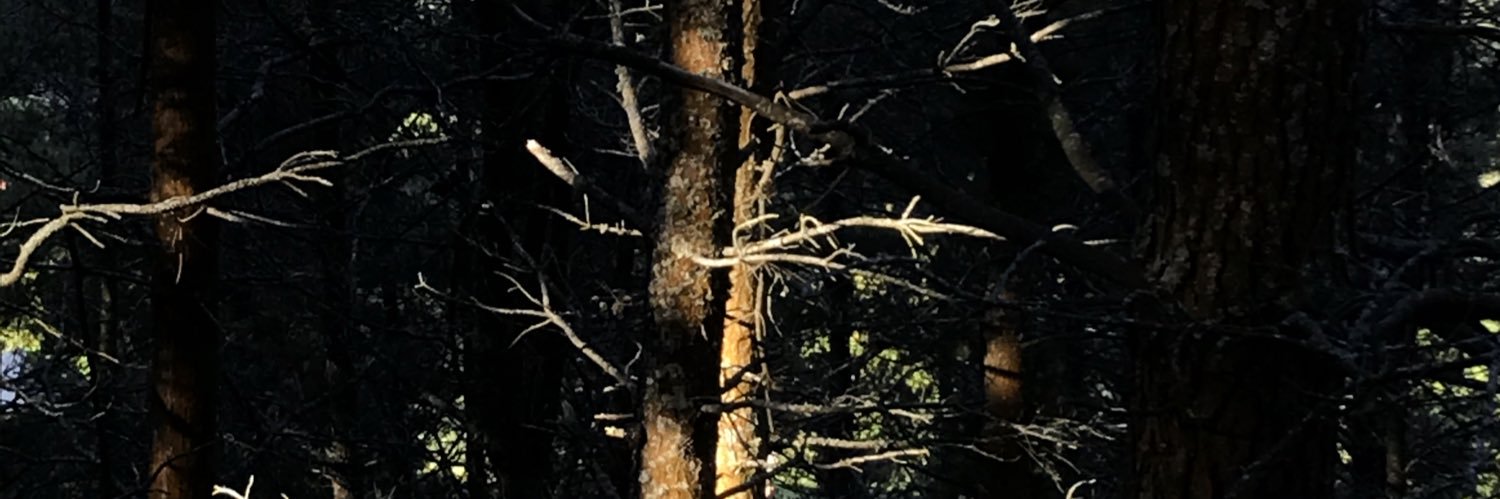 JokinToyos's profile banner image