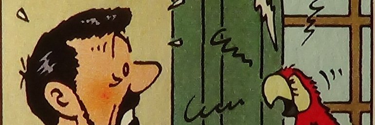 KC Cocoperroquet banner