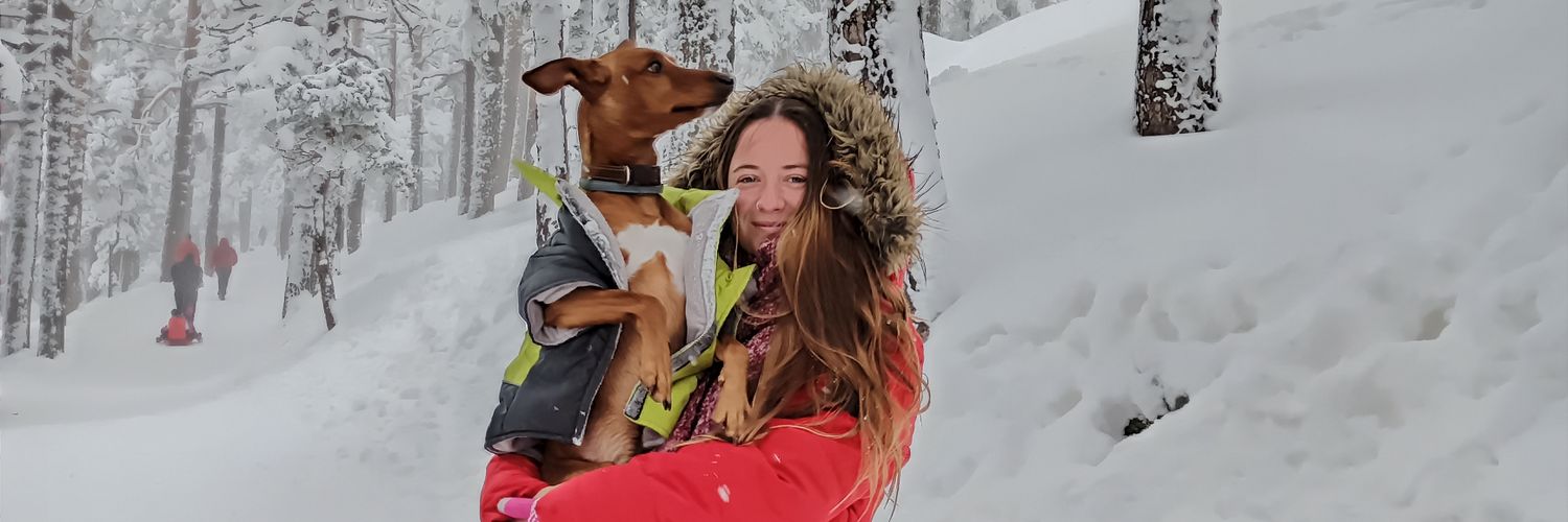 Pααтяι. ✌ banner