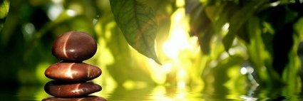 Thereseta's profile banner image