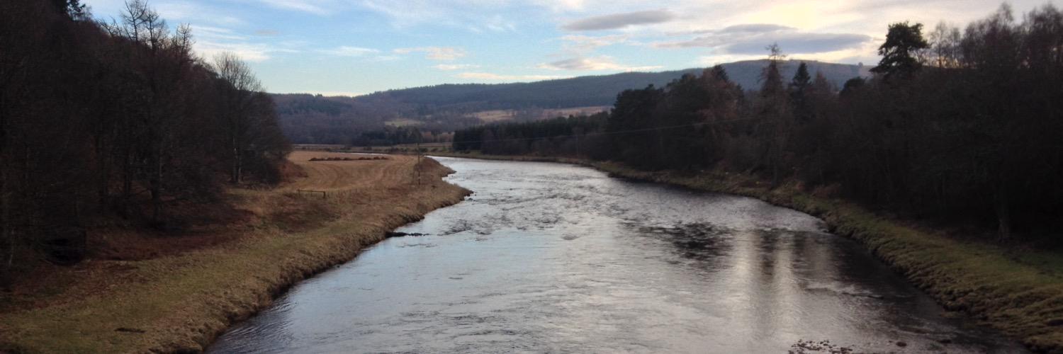 FishDee's profile banner image