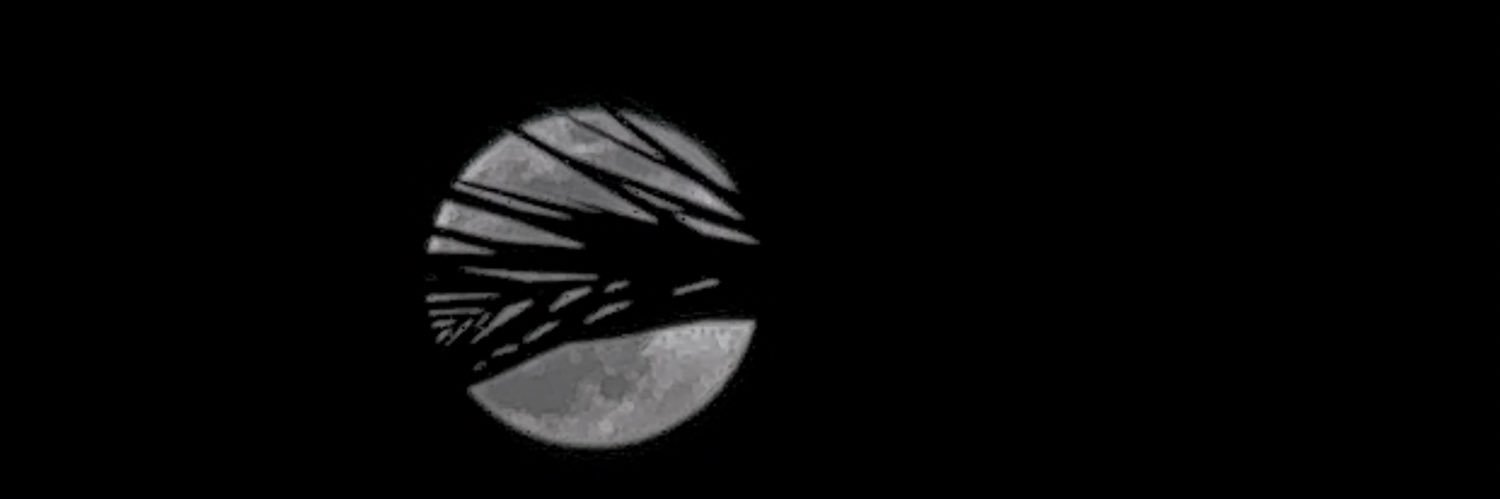xayernu's profile banner image