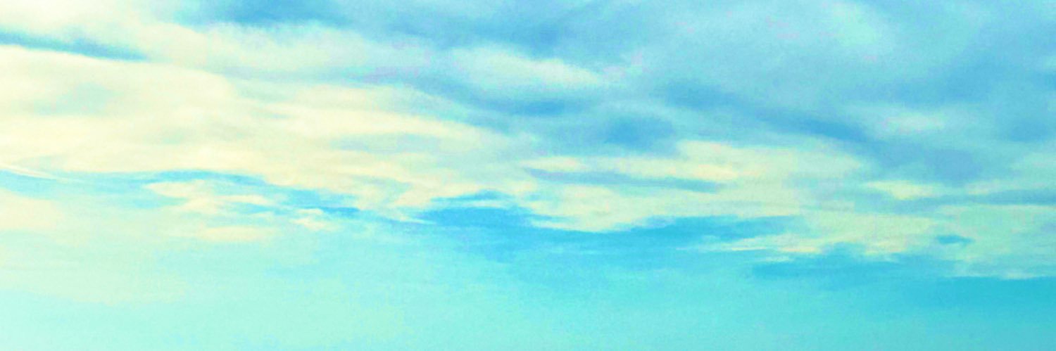 Eulàlia Febrer-Coll banner