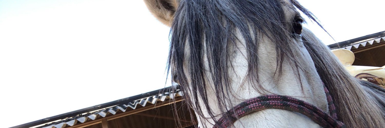RamirezRichard_'s profile banner image