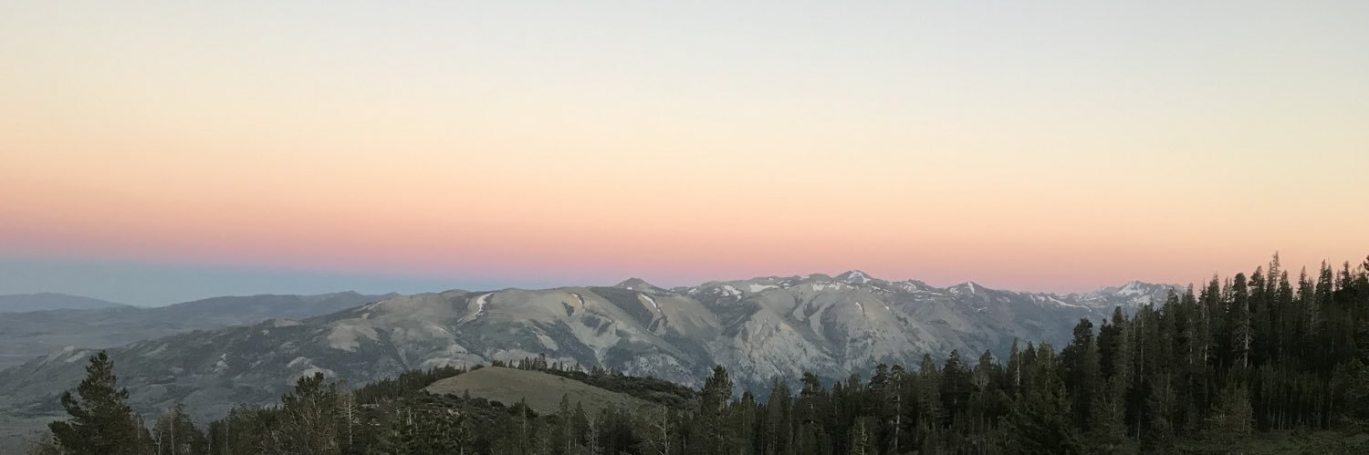 dstace29's profile banner image