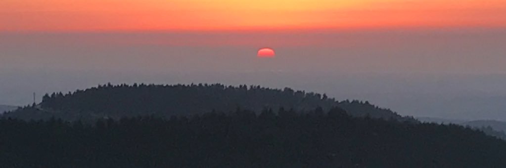 LisaAlterKrule's profile banner image