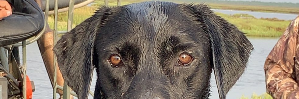 DatKiddCam's profile banner image