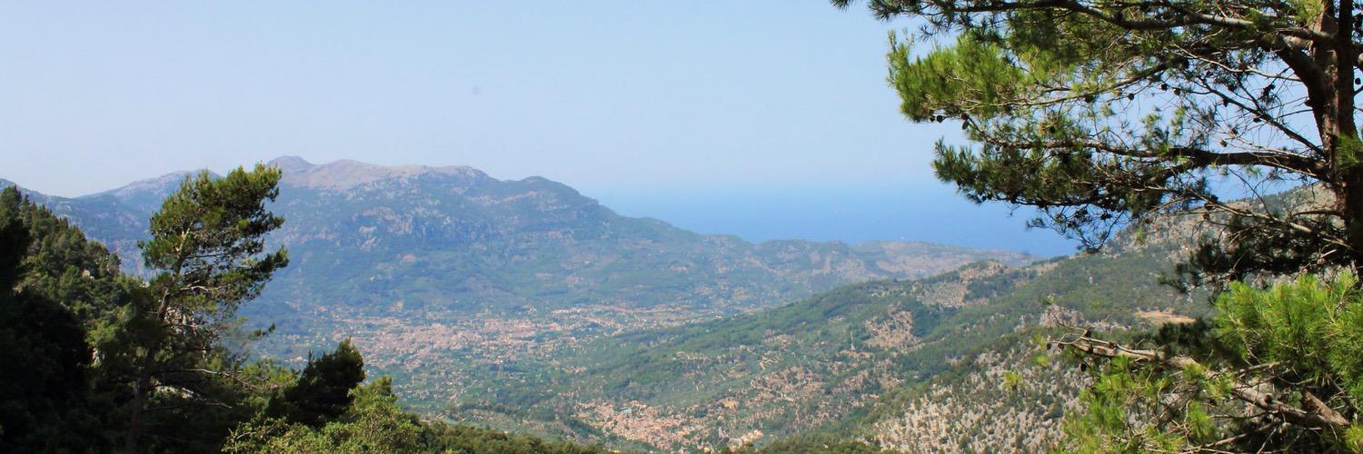 agneswesterberg's profile banner image