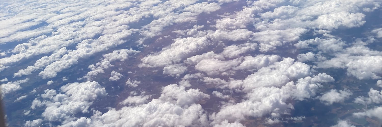 Kate Schickedanz banner