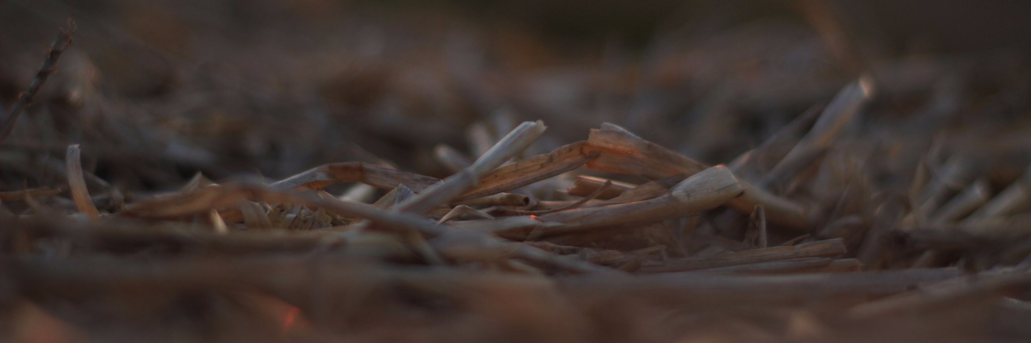 Colimoly's profile banner image