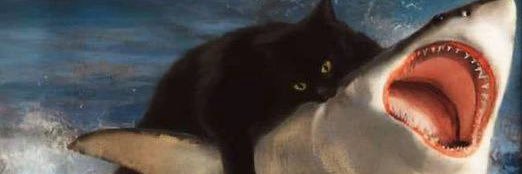 morirol's profile banner image