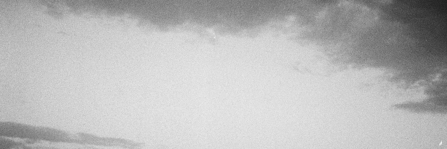 wild3alone's profile banner image