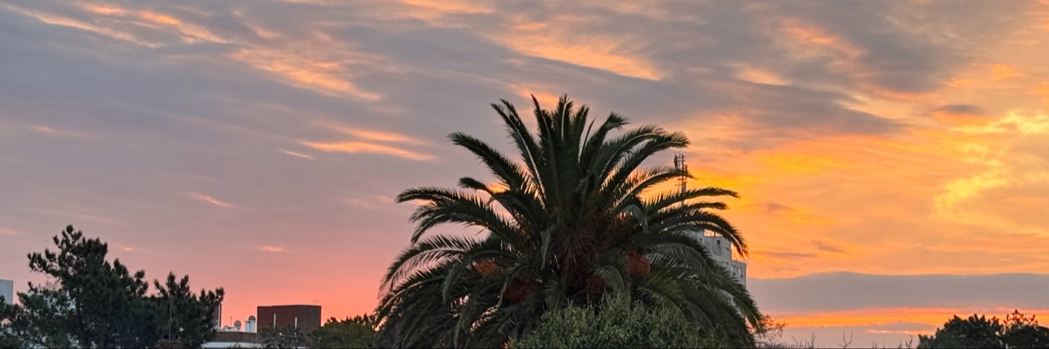 MarulaRamrez's profile banner image