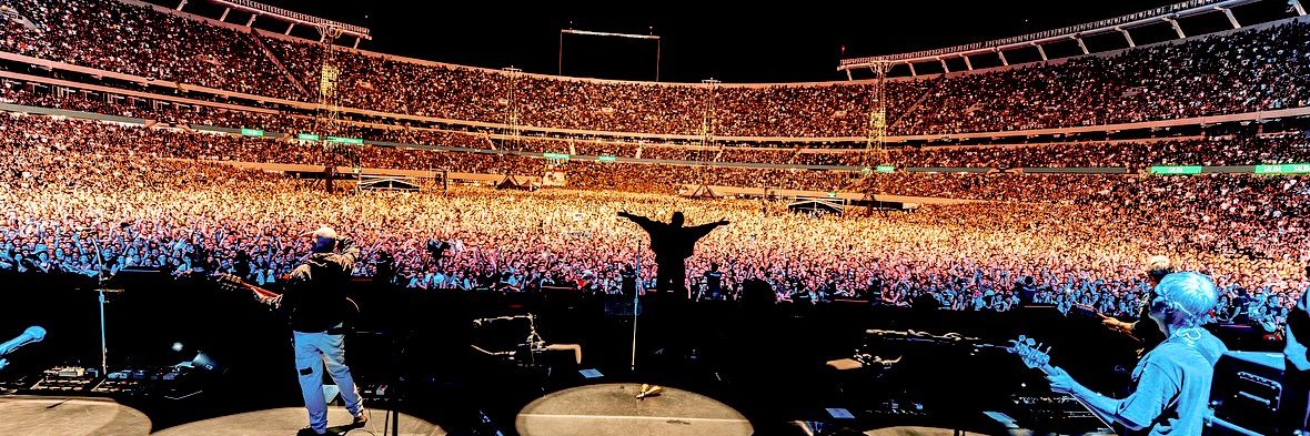 fernandamonego's profile banner image