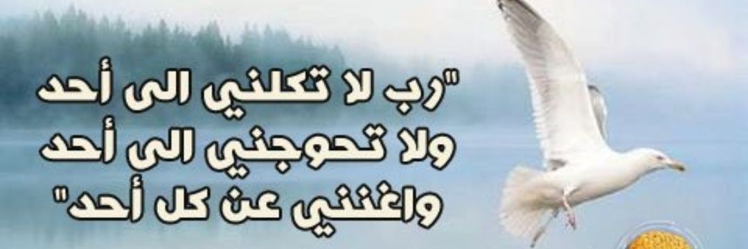 FZ_Ezz's profile banner image