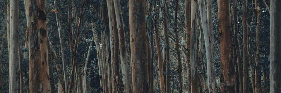 94zchingu's profile banner image