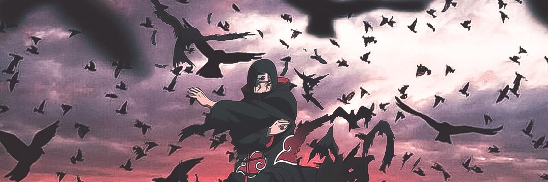 lizahng's profile banner image