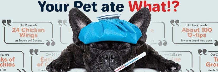 Pet Poison Helpline banner