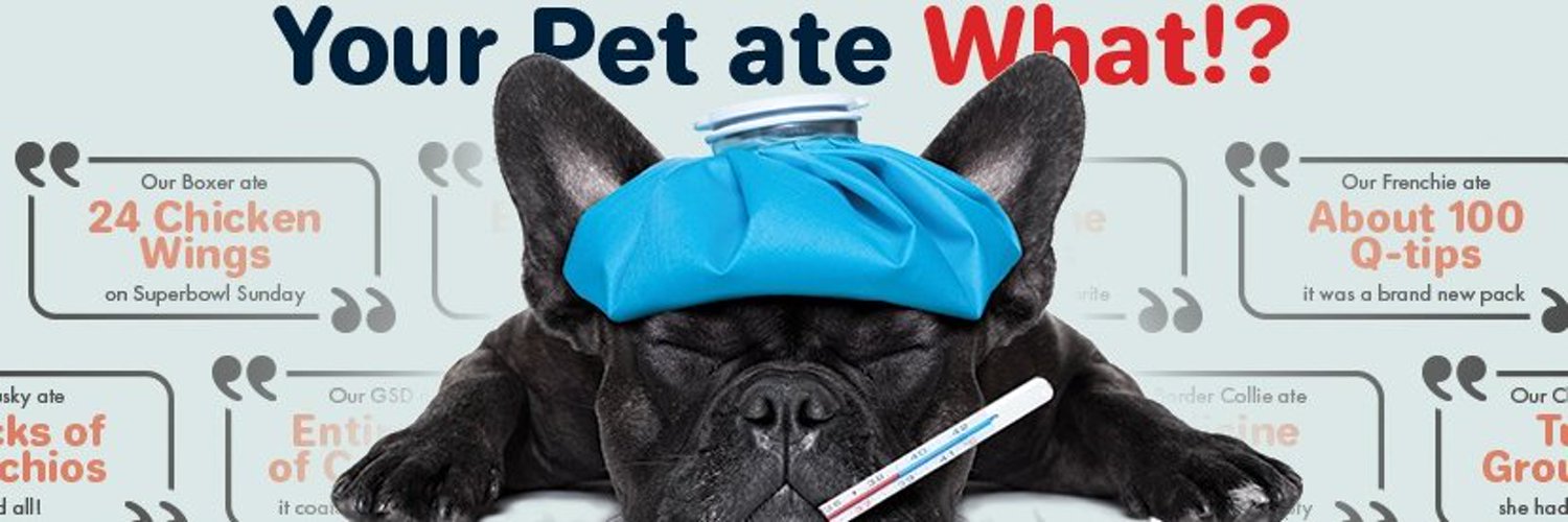 Pet Poison Helpline Profile Banner