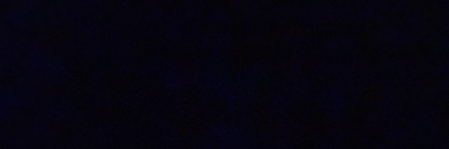 Neeqs banner