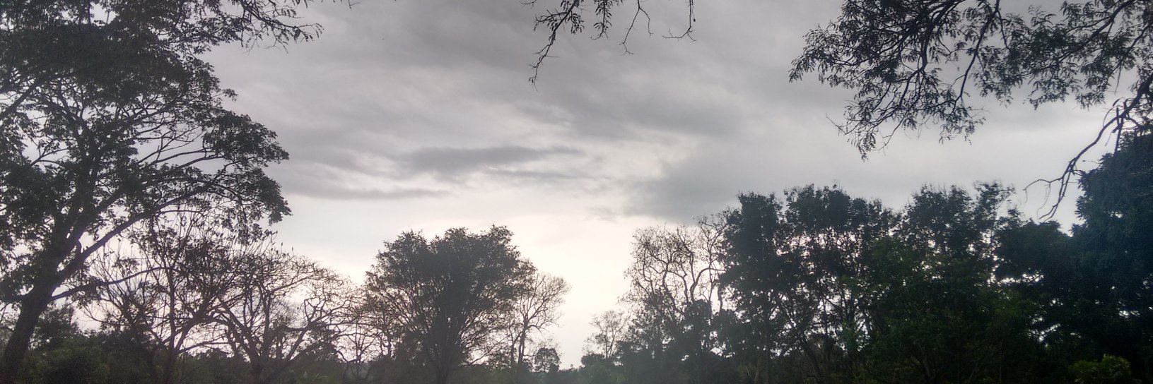 meenabesoya's profile banner image