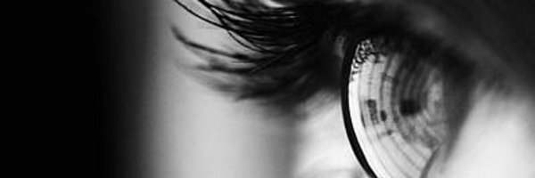 zoomabus Profile Banner