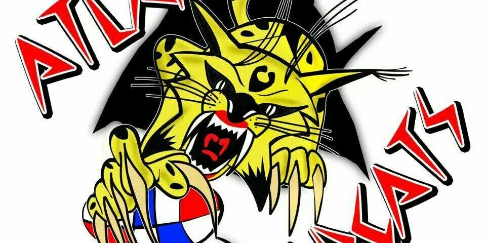 CoachAWildcat's profile banner image