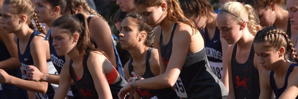 St. Andrew's School banner