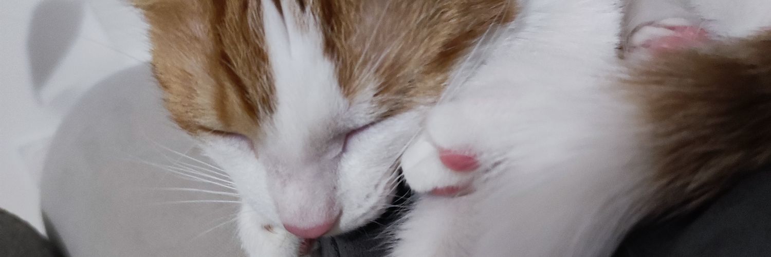 elea_nd's profile banner image
