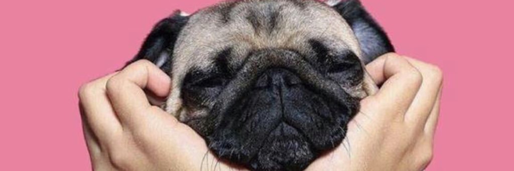vic_tooriaa's profile banner image