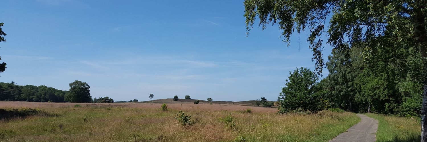 JoseThuis's profile banner image