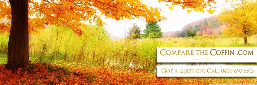 CoffinCompare's profile banner image